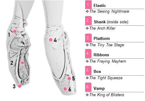 An infographic of a ballet point shoe