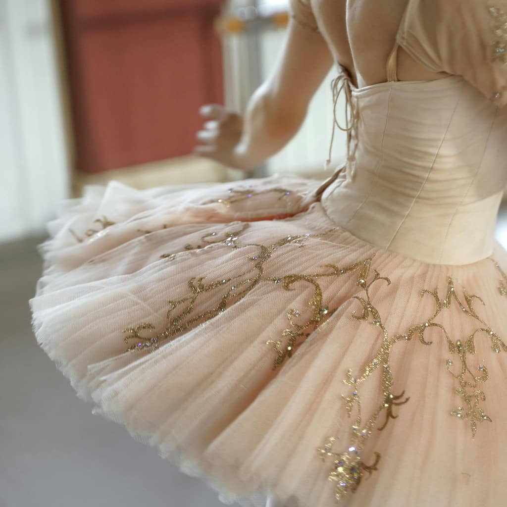 Sideview of an elegant ballet tutu with laced embroidery